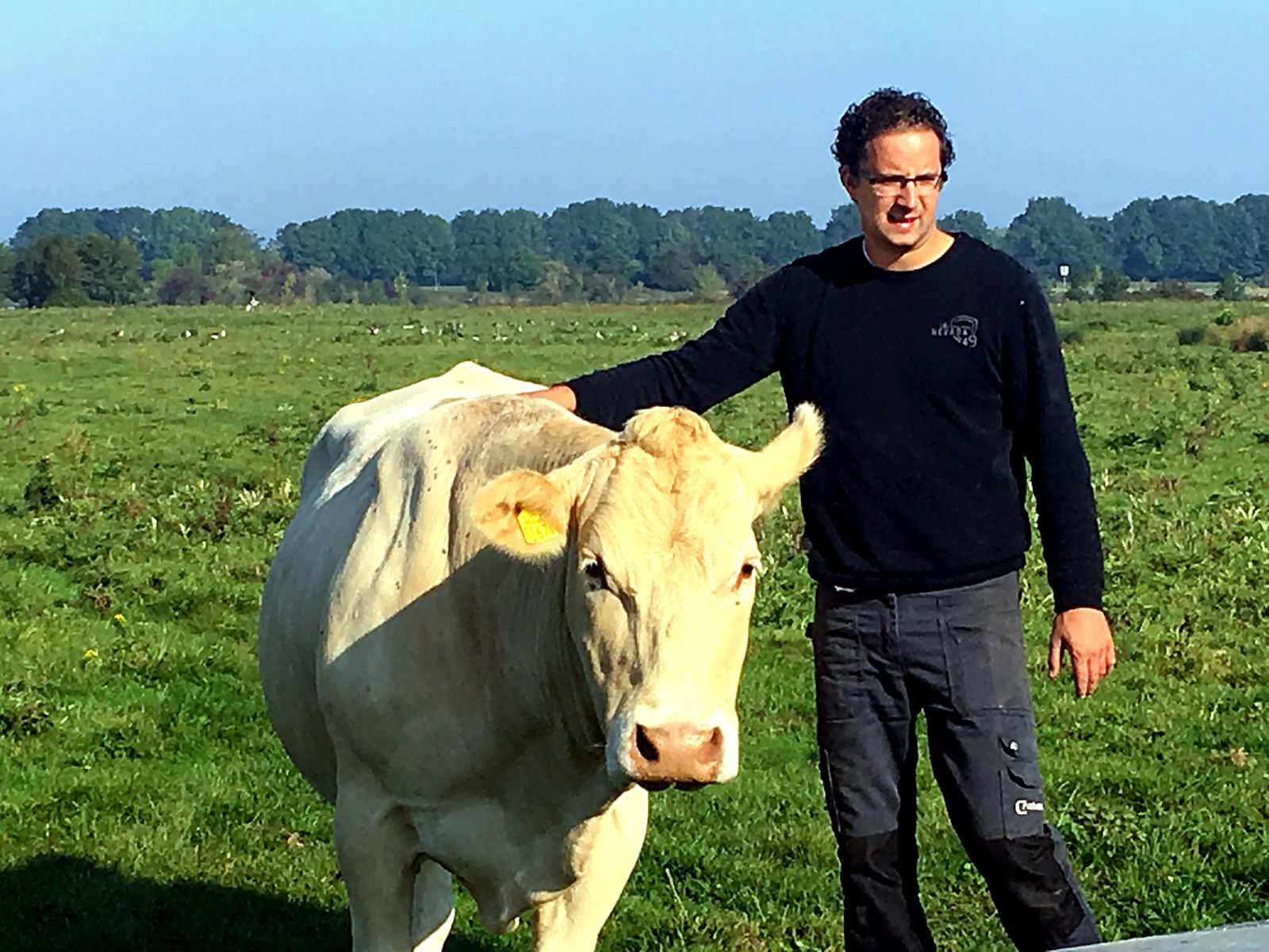 Erik Dignum met een handtamme Blonde d'Aquitaine-koe in de wei